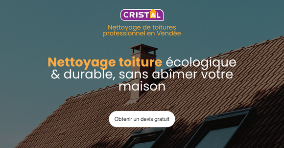 Nettoyage et traitement toiture